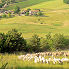 The breeding at the farm La Rizane